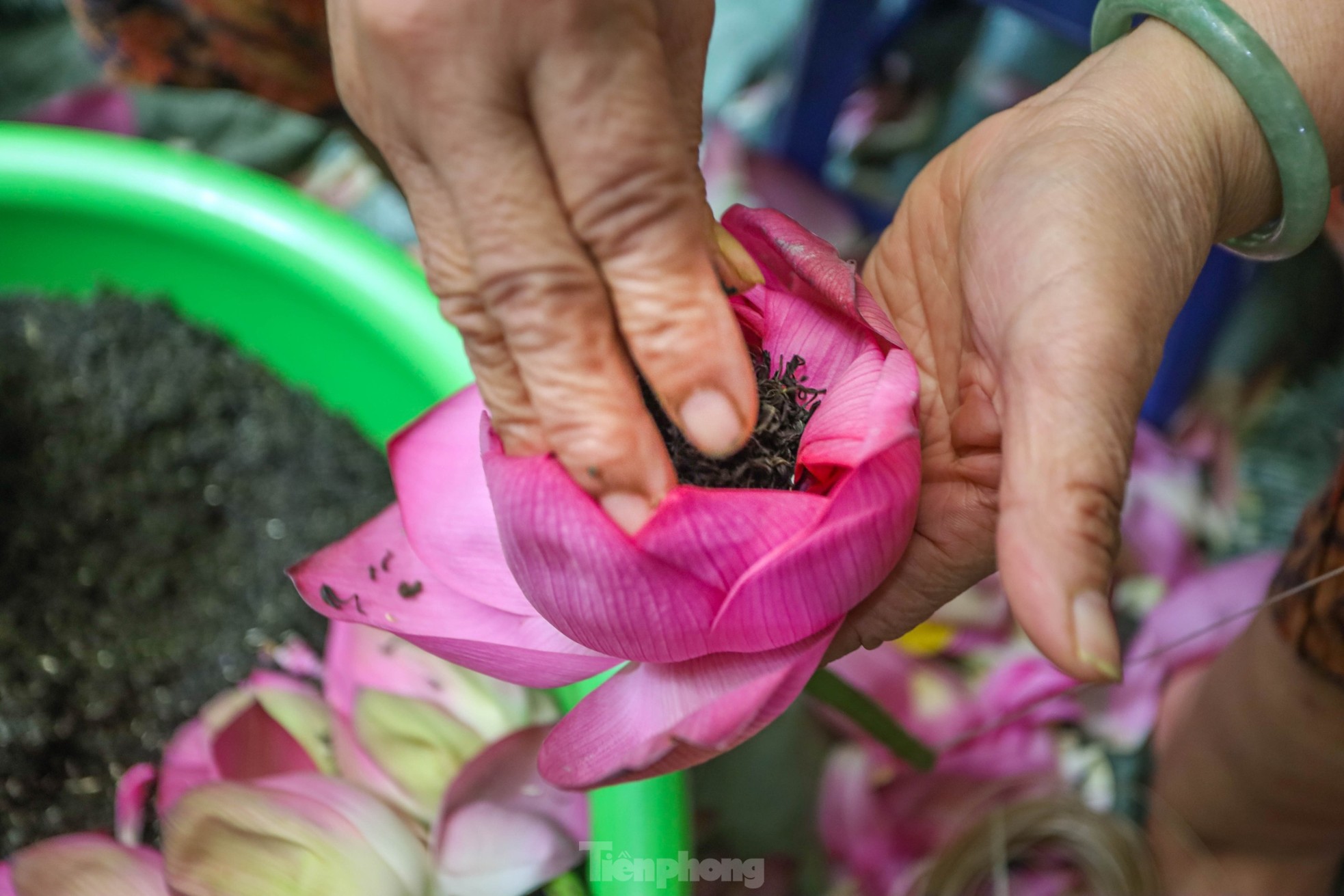 Tr&agrave; sen Hồ T&acirc;y - "thi&ecirc;n cổ đệ nhất tr&agrave;" Kinh kỳ- Ảnh 8.