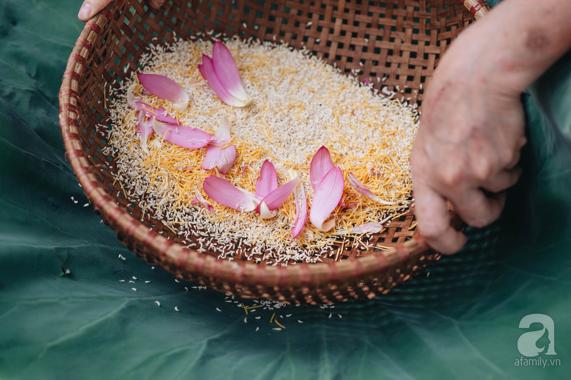 Tr&agrave; sen Hồ T&acirc;y - "thi&ecirc;n cổ đệ nhất tr&agrave;" Kinh kỳ- Ảnh 5.