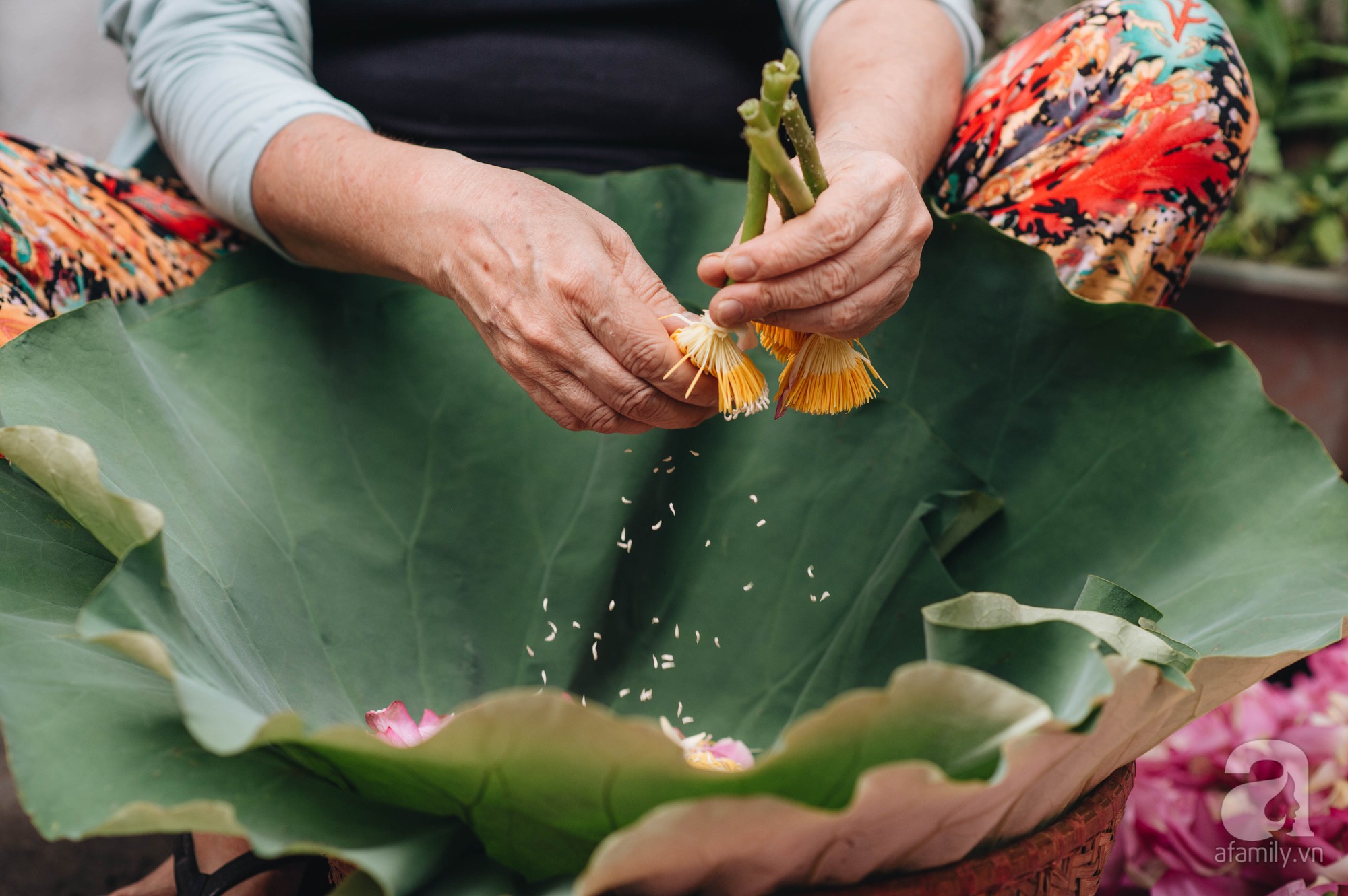 Tr&agrave; sen Hồ T&acirc;y - "thi&ecirc;n cổ đệ nhất tr&agrave;" Kinh kỳ- Ảnh 3.