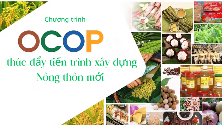 Một địa phương tại H&agrave; Nội mới c&ocirc;ng bố danh mục OCOP: Độc đ&aacute;o gi&ograve; lụa hạt sen v&agrave; những sản vật mang t&ecirc;n l&agrave;ng- Ảnh 1.