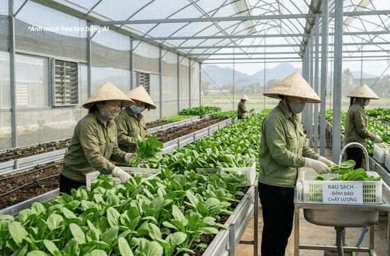 X&atilde; Thượng Ph&uacute;c (H&agrave; Nội) c&ocirc;ng khai danh s&aacute;ch c&aacute;c cơ sở đủ điều kiện an to&agrave;n thực phẩm- Ảnh 1.