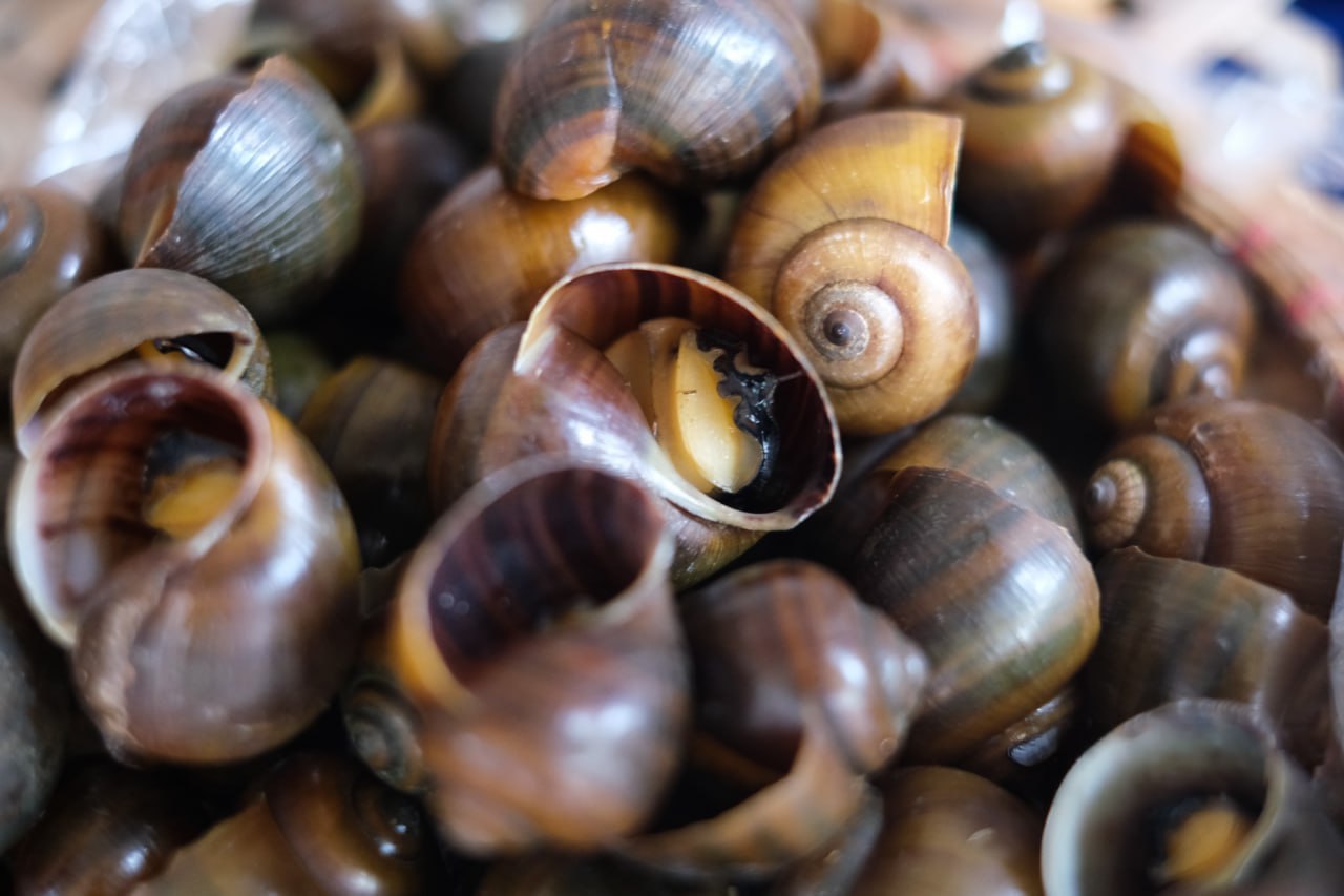 M&oacute;n b&uacute;n ốc nguội kh&oacute; t&iacute;nh trứ danh phố B&ugrave;i Thị Xu&acirc;n: Muốn ăn ngon, phải biết "luật c&ocirc; Lan"- Ảnh 3.