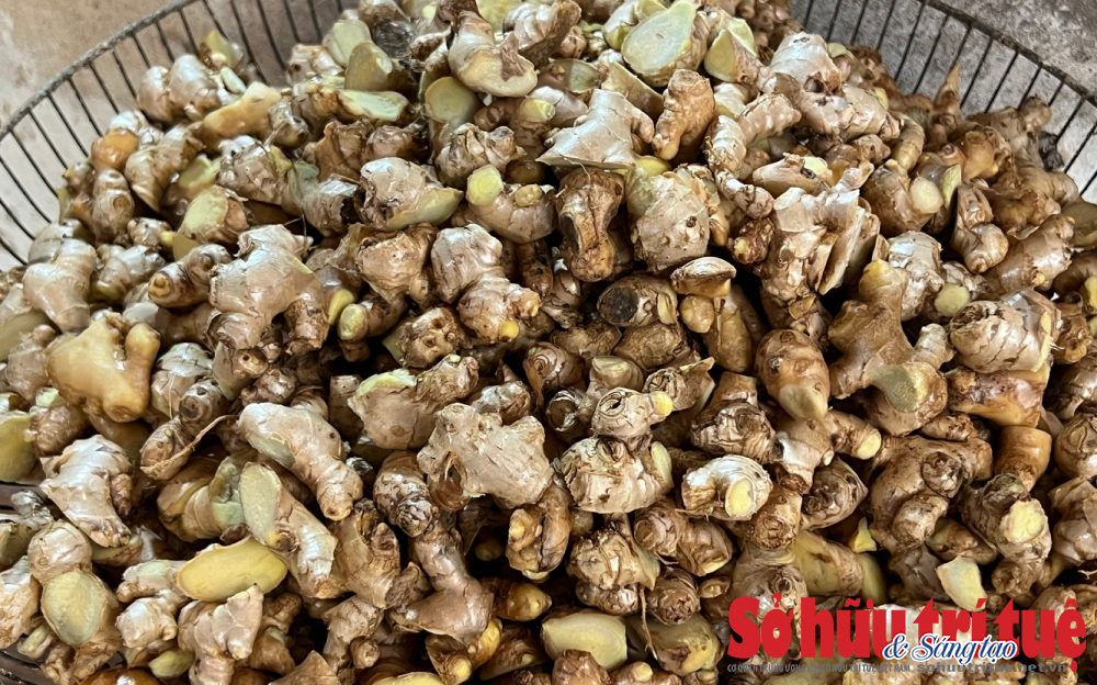 Ch&egrave; lam Thạch X&aacute; - Thức qu&agrave; tiến vua "đượm vị mật m&iacute;a, nồng n&agrave;n gừng cay"- Ảnh 2.