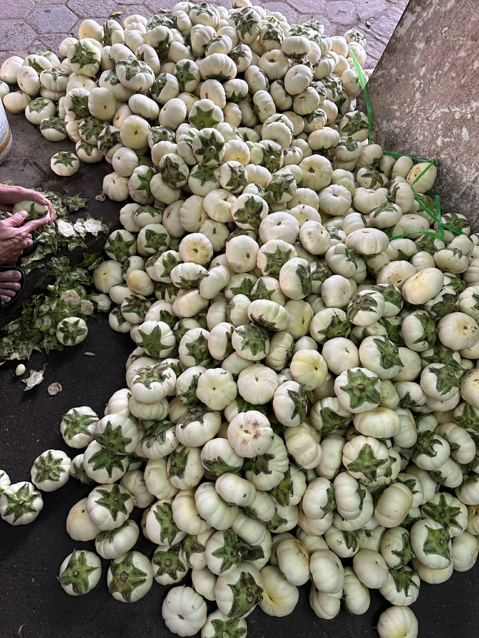 C&agrave; b&aacute;t dầm Khương Hạ - "B&aacute;u vật" trong ang đất nung: Từ m&oacute;n ăn nh&agrave; ngh&egrave;o th&agrave;nh đặc sản nức tiếng kinh kỳ- Ảnh 2.