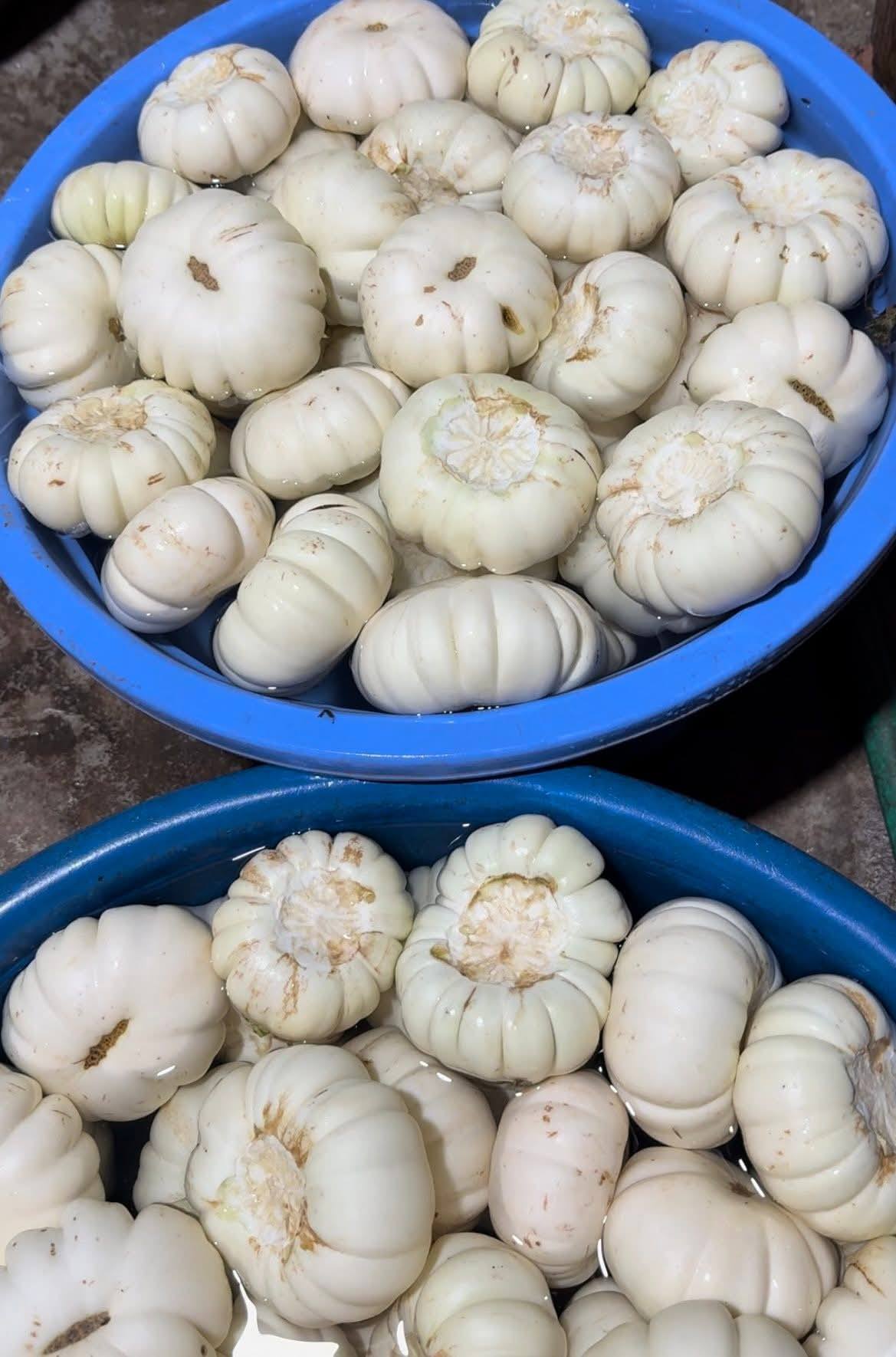 C&agrave; b&aacute;t dầm Khương Hạ - "B&aacute;u vật" trong ang đất nung: Từ m&oacute;n ăn nh&agrave; ngh&egrave;o th&agrave;nh đặc sản nức tiếng kinh kỳ- Ảnh 3.