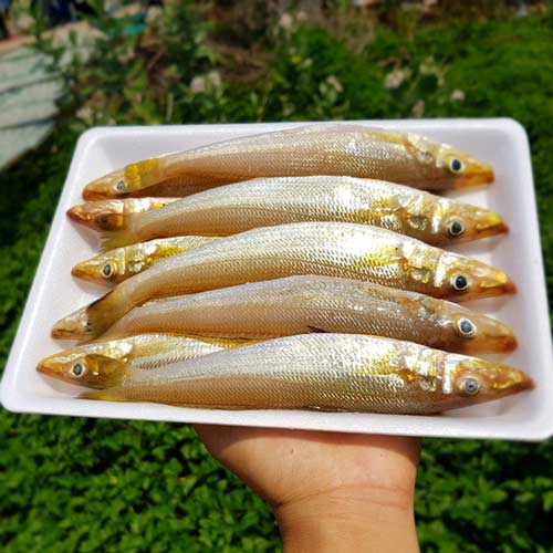 C&aacute; bống kho l&aacute; gừng: Từ m&oacute;n qu&ecirc; b&igrave;nh dị th&agrave;nh tinh hoa ẩm thực Việt, n&iacute;u ch&acirc;n thực kh&aacute;ch bằng hương vị kh&oacute; qu&ecirc;n- Ảnh 1.