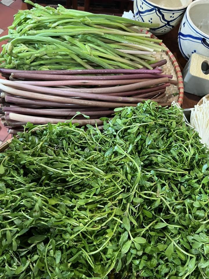 H&agrave;nh tr&igrave;nh kh&aacute;m ph&aacute; hương vị miền s&ocirc;ng nước, tinh hoa ẩm thực phương Nam hội tụ trong nồi lẩu mắm đậm đ&agrave; kh&oacute; qu&ecirc;n- Ảnh 3.