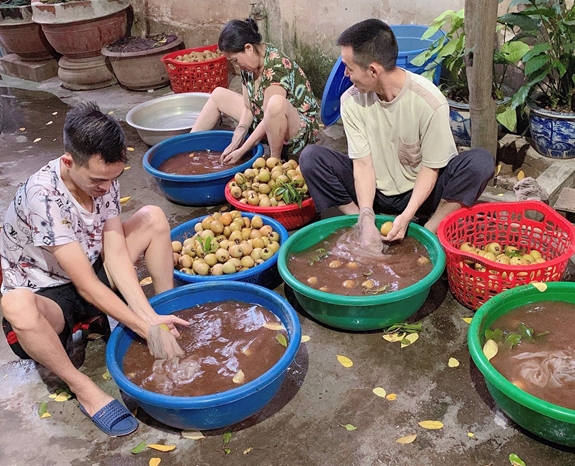 Hồng xi&ecirc;m Xu&acirc;n Đỉnh - thức qu&agrave; ngọt l&agrave;nh n&iacute;u giữ hương vị H&agrave; Nội xưa - Ảnh 4.
