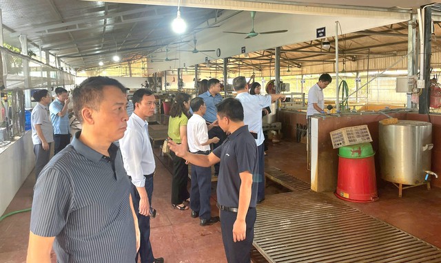 H&agrave; Nội chủ động phối hợp với c&aacute;c tỉnh, th&agrave;nh phố trong c&ocirc;ng t&aacute;c ph&ograve;ng chống dịch, bệnh động vật - Ảnh 6.