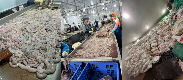 H&atilde;i h&ugrave;ng c&ocirc;ng nghệ chế biến l&ograve;ng lợn từ 22 tấn h&oacute;a chất Trung Quốc v&agrave; 60 tấn nguy&ecirc;n liệu bẩn tại H&agrave; Nội- Ảnh 1.