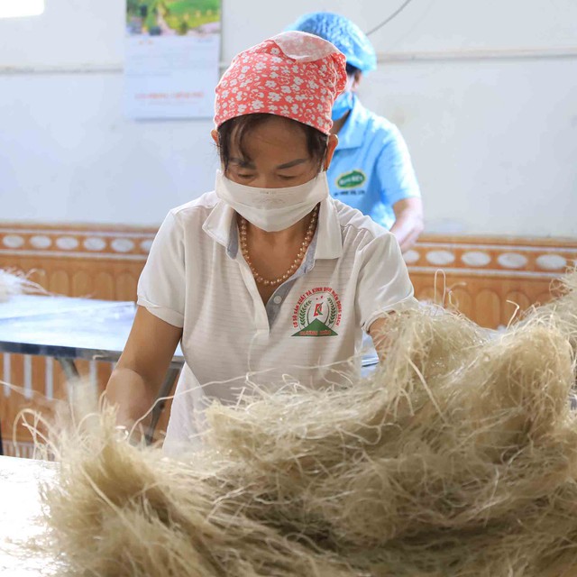 Miến Dương Ki&ecirc;n - Tinh hoa từ nguy&ecirc;n liệu thuần khiết, g&oacute;i trọn vị xưa H&agrave; th&agrave;nh- Ảnh 1.