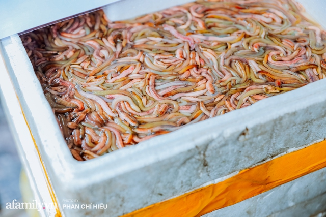 Chả rươi H&agrave; Nội: Bản giao hưởng tinh t&uacute;y của "lộc trời" trong ẩm thực Kinh kỳ- Ảnh 1.