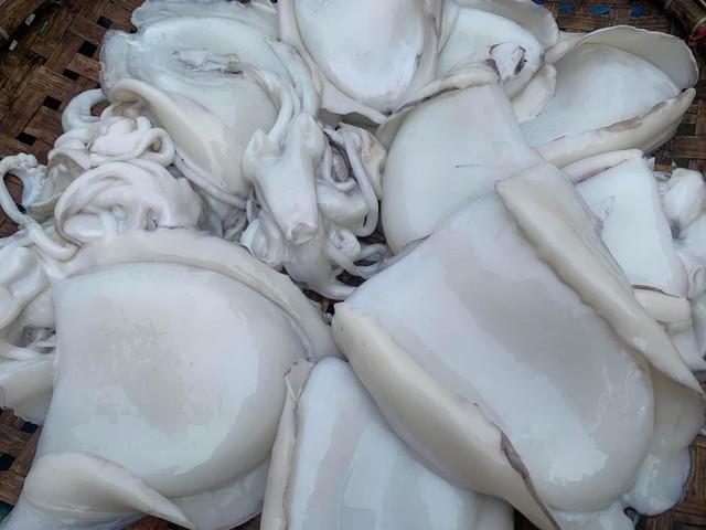 Mực lưới hồng x&agrave;o mướp: Vị ngọt biển khơi h&ograve;a c&ugrave;ng hương thơm đồng nội, m&oacute;n ăn thanh m&aacute;t cho m&acirc;m cơm ng&agrave;y h&egrave;- Ảnh 3.