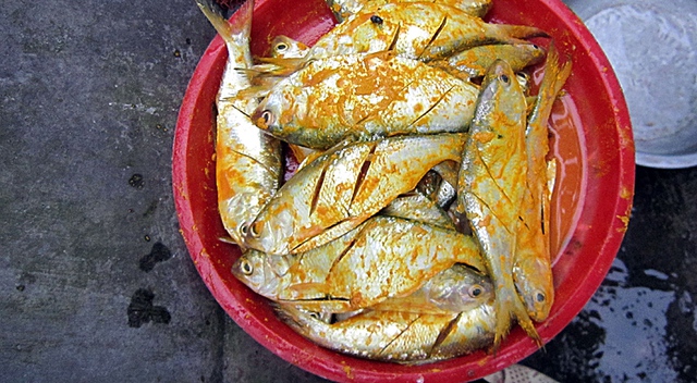 C&aacute; m&ograve;i chưng tương nếp: Tuyệt chi&ecirc;u "2 lần nước v&agrave; 8 giờ đỏ lửa" cho nồi c&aacute; thơm ngon, chuẩn vị cơm nh&agrave;- Ảnh 3.