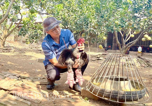 Lẩu g&agrave; chanh d&acirc;y: Hương vị giao h&ograve;a giữa n&eacute;t mộc mạc đồng qu&ecirc; v&agrave; cảm hứng s&aacute;ng tạo trong mỗi cuộc sum vầy- Ảnh 1.