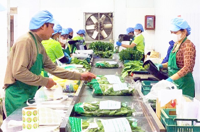 H&agrave; Nội siết chặt quản l&yacute; an to&agrave;n n&ocirc;ng sản trồng trọt- Ảnh 1.
