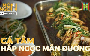 Đánh thức mọi giác quan với cá tầm hấp ngọc mãn đường - Kiệt tác ẩm thực độc bản của đất trời Tây Bắc
