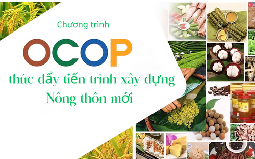 Một địa phương tại Hà Nội mới công bố danh mục OCOP: Độc đáo giò lụa hạt sen và những sản vật mang tên làng