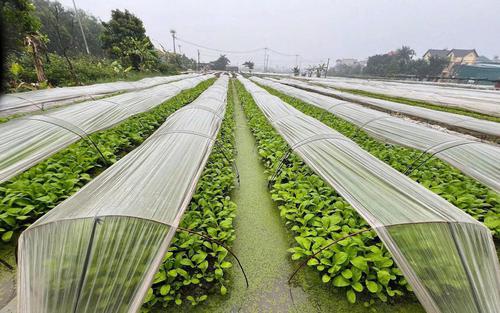 An toàn thực phẩm: Hà Nội chuyển trọng tâm sang tự kiểm soát từ cơ sở