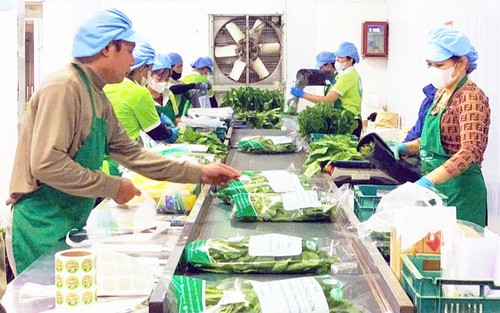Hà Nội siết chặt quản lý an toàn nông sản trồng trọt